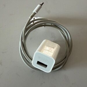 Apple Charge Block & Lightning Cable